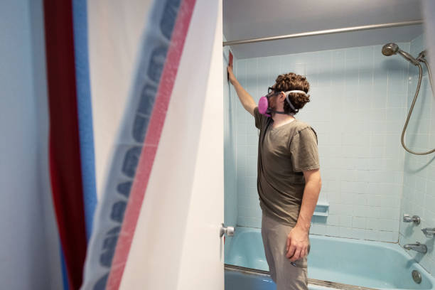 Best Emergency Mold Remediation  in Hartwell, GA
