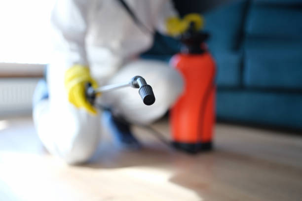 Professional Mold Removal in Hartwell, GA