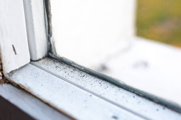 Best HVAC Mold Inspection and Cleaning  in Hartwell, GA