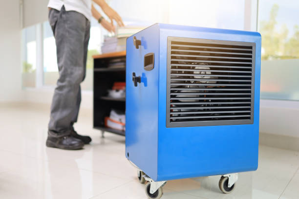 Best Commercial Mold Inspection  in Hartwell, GA